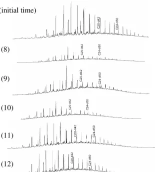 Figure 9 - Chromatographic analysis (TPH) at initial and final time in treatments with RC soil (8  to  11)