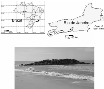 Figure  1  -  Localization  of  the  study  area  at  the  northern  coast  of  Rio  de  Janeiro  State  and  the  breakwater on Farol de São Tomé beach.