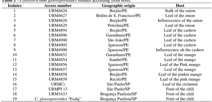 Table 1 - Colletotrichum gloeosporioides isolates according from hosts. 