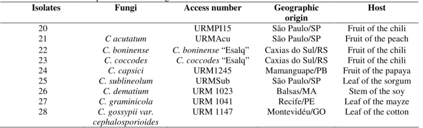 Table 2 - Colletotrichum sp. isolates according from hosts. 