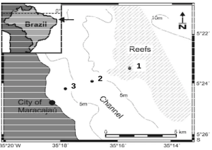 Figure 1 - Study area showing sampling stations 1 to 3 off Maracajaú (Rio Grande do Norte State,  Northeastern Brazil)