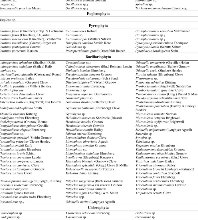 Table 3 - Phytoplankton species list of the Maracajaú reef ecosystem (Brazil). 