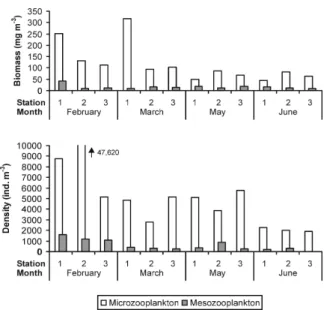 Figure  3  -  Biomass  and  density  of  the  micro-zooplankton  (65  µm)  and  meso-zooplankton  (120  µm) in the sampling stations 1 to 3 off Maracajaú, Brazil