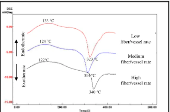 Figure 3 - DSC curves of the pulp samples. 