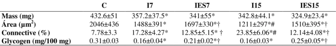 Table  1  -  Mean±sd  of  tibialis  anterior  mass  (mg),  muscle  fibers  area  (µm 2 ),  connective  tissue  area  density  (%),  glycogen  content  (mg/100  mg)  of  control  group  (C),  immobilized  for  7  days  (I7),  immobilized  for  15  days  (I1