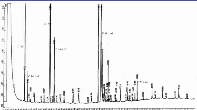 Figure 2 presents a chromatographic profile of the  fatty  acids  in  the  charque  sample