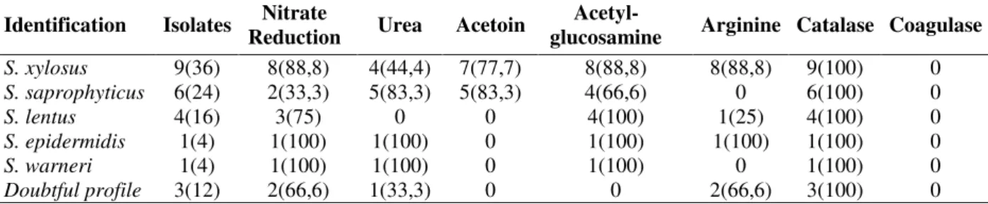 Table 1 - Biochemical tests for identification of Staphylococcus isolated from naturally fermented sausages