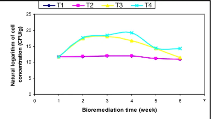 Figure 5 - Variation of Natural Logarithm of cell concentration against bioremediation time 
