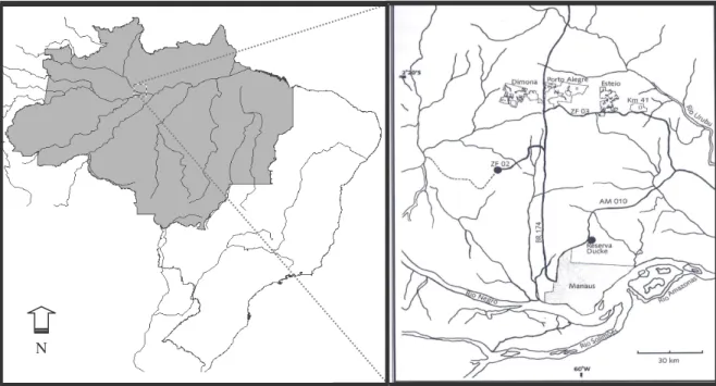 Figure 1 - Study sites. Brazil and legal Brazilian Amazon (dark); detail of study sites on the right  (adapted from BDFFP databases)