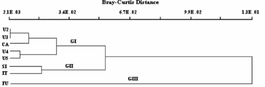 Figure  1  -  Sorensen  (Bray-Curtis)  cluster  analysis  (UPGMA)  based  on  species  composition  of  each studied site