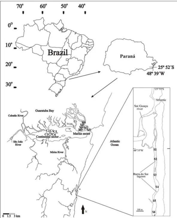 Figure 1 - Geographic location of Guaratuba bay and the six sampling stations in each of the two  studied  sectors:  continental  C1  to  C6  and  marine  M1  to  M6