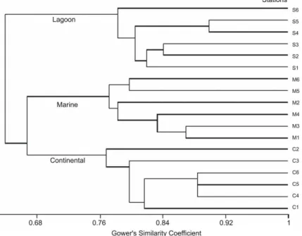 Figure  5  -  Hierarchical  classification  of  the  18  sampling  stations,  according  to  the  species  presence:  continental  C1  to  C6  and  marine  M1  to  M6 sectors  of  the  Guaratuba  bay  and in Barra do Saí lagoon S1 to S6 