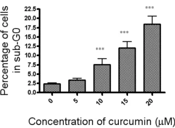 Figure 1 - Curcumin induces DNA fragmentation in human melanoma cells. SK-MEL-37 cells (3  X  10 5   cells/mL)  were  treated  with  curcumin  at  the  indicated  concentrations  for  24  h