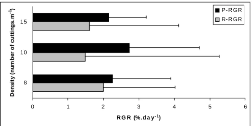 Figure  4  -  Average  RGR  (%.day -1 )  for  G.  domingensis  cultivated  in  net  cages  comparing  three  cuttings densities (8, 10 and 15 cuttings/rope), accomplished in June 2003 (where:  P-RGR = Potential Relative Growth Rate; R-P-RGR = Real Relative