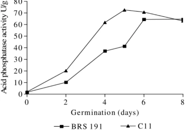 Figure 3 - Acid phosphatase activity of hybrid sunflowers during germination for 8 days