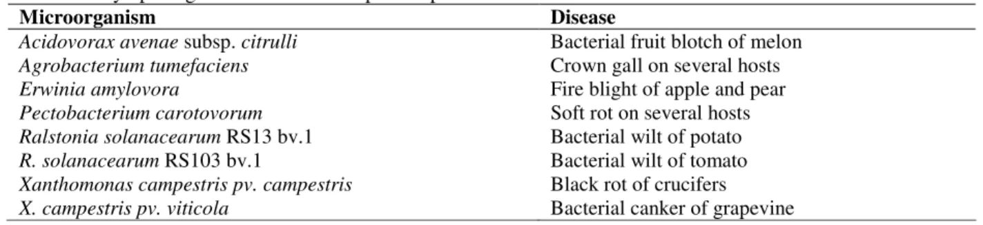 Table 1 - Phytopathogenic bacteria and respective plant disease. 