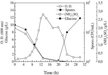 Figure  1  -  Time  course  of  cell  growth,  substrate  consumption,  and  sporulation,  during  aerated  cultivation of Bacillus subtilis R14 at 30° C 