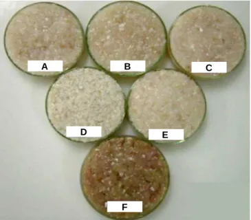 Figure  3  shows  the  production  steps  of  restructured  products  using  the  enzymes  (MTGase), Activa B (solution form) and  TG-BP (dry form)