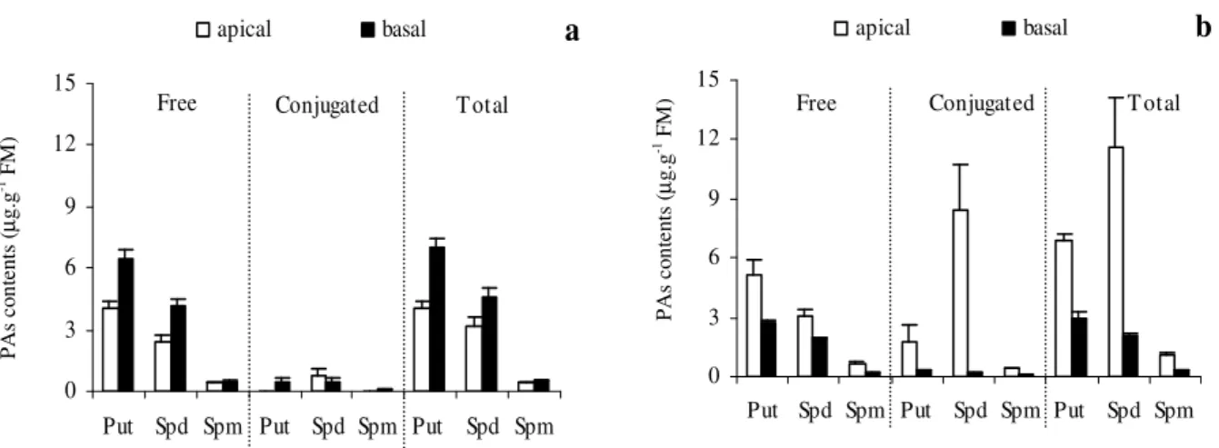 Figure  1  -  PA  patterns  in  pith  tissue  explants  from  haploid  (a)  and  diploid  (b)  plants  of  N