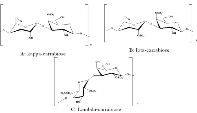 Figure 5 - Schematic representations of carrabioses. 