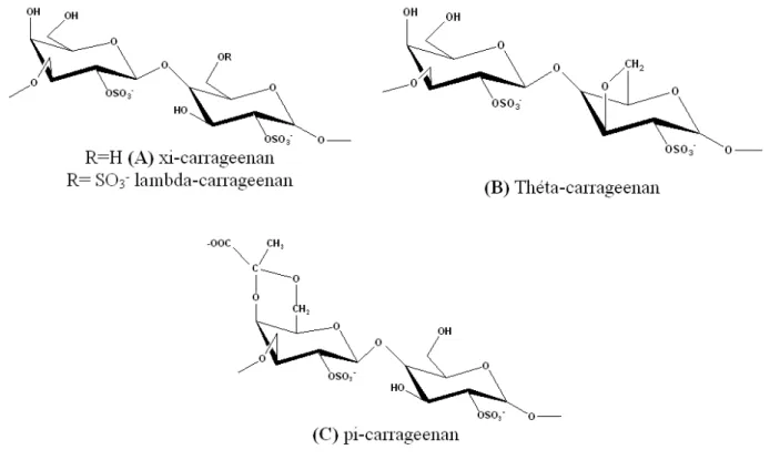 Figure  6  -  Schematic  representation  of  lambda-carrageenans.  (A):  xi-carrageenan,  (B):  theta- theta-carrageenan, (C): pi-carrageenan 