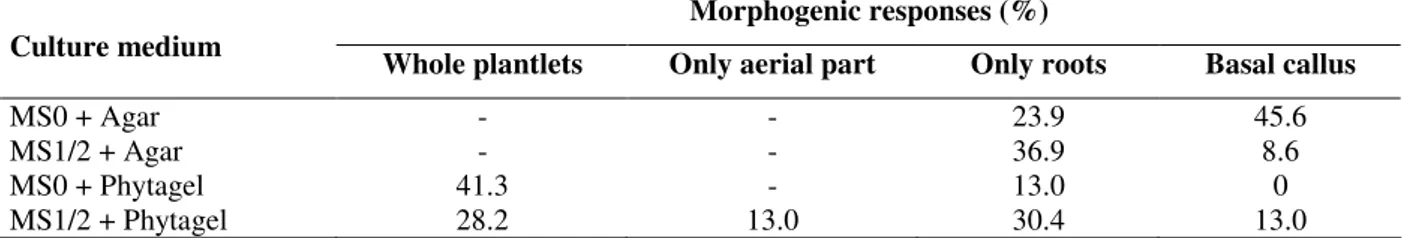 Table 2 - Morphogenic responses observed on somatic embryos inoculated on auxin-free full (MS0) or half-strength  (MS1/2) MS medium solidified with agar or phytagel, after thirty days