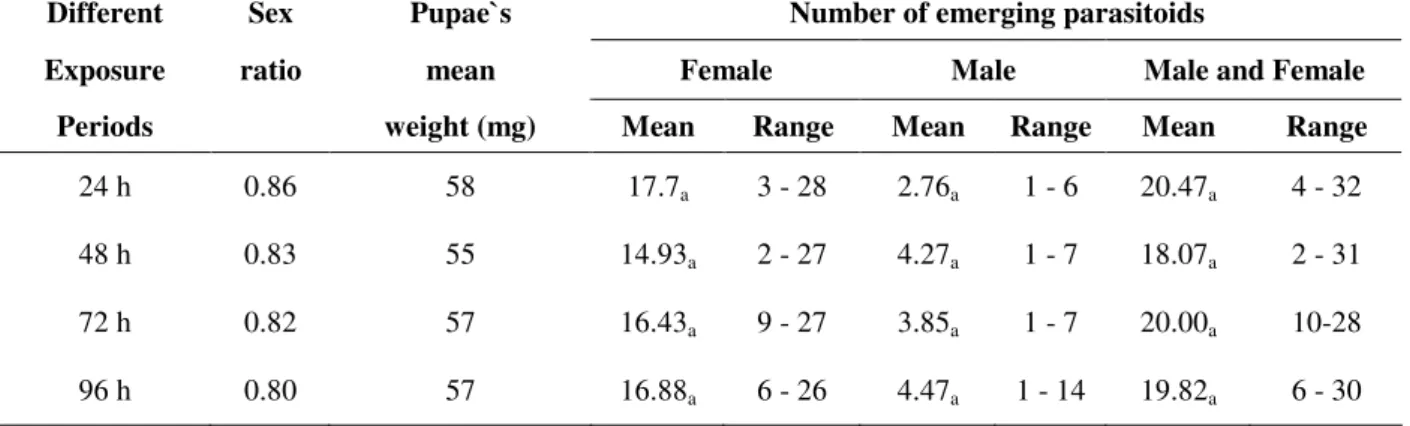 Table 2 -  Sex ratio, pupae's mean weight and mean number of emerging parasitoids of Nasonia vitripenis bred in  Chrysomya  megacephala  pupae  exposed  to  parasitism  for  different  periods,  using  one  host  to  one  parasitoid  association (T=27 °C d