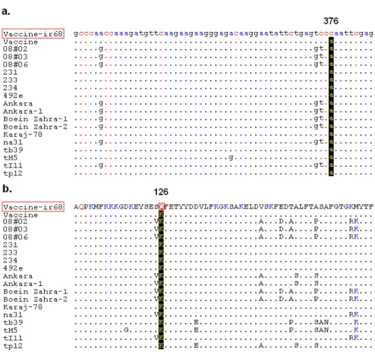 Figure 1 - (a) Alignment of partial nucleotide sequences of Tams1 region. Mutation relevant in this  study is highlighted
