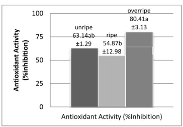 Fig. 4. Antioxidant activity of ‘Sunburst’ sweet cherry harvested at different ripeness  stages