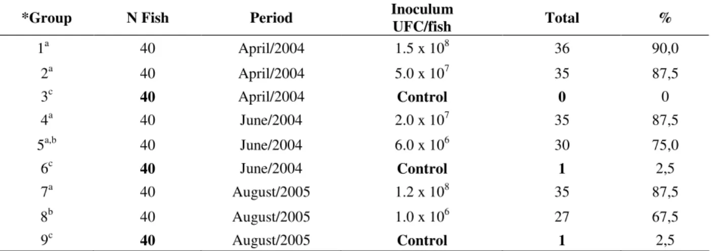 Table  1  –  Mortality  of  Nile  tilapia  (Oreochromis  niloticus)  observed  during  12  days  after  inoculation,  in  three  periods, with different infective doses of Streptococcus agalactiae isolated from tilapia naturally infected, Londrina,  Brazil
