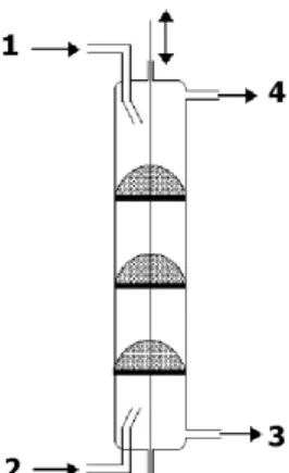 Figure 1 - Extraction microcolumn with pulsed caps: (1) Pineapple juice inlet (continuous phase); 