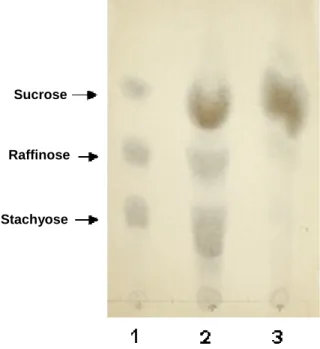 Figure 4 - TLC analysis of sugars present in soy molasses treated with an enzymatic preparation  of  Aspergillus  terreus