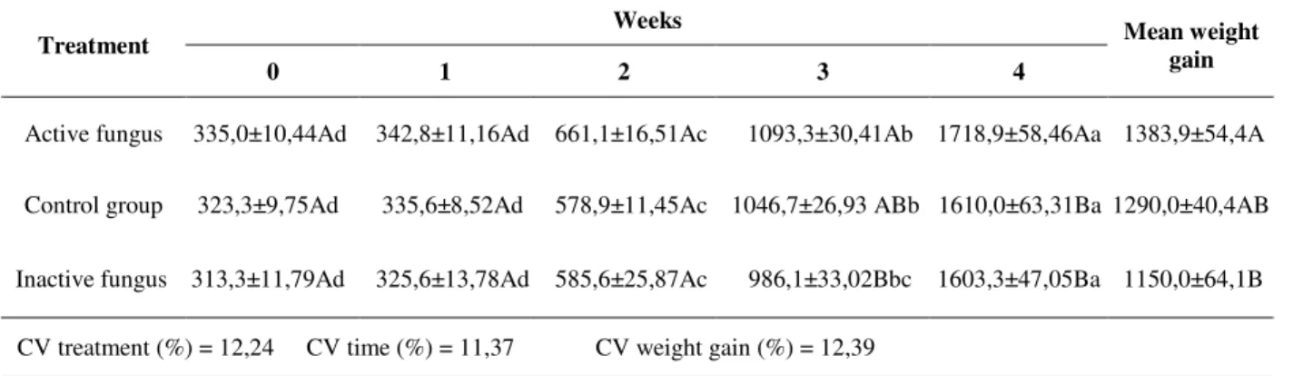 Table  2  -  Mean  weight  gain  (g)  of  Gallus  domesticus  in  3  treatments:  active  fungus,  inactive  fungus  and  control  group  on  week  0,  1,  2,  3  and  4  of  evaluation,  as  well  as  mean  of  total  weight  gain  (g)  (temperature:  25±