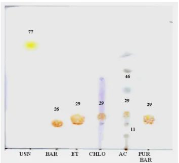 Figure 1 - Thin layer chromatogram of organic extracts of Cladia aggregata (Sw.) Nyl. Captions: 
