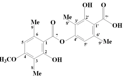 Figure  3  -  Structure  of  barbatic  acid  (C 19 H 20 O 7 ),  according  to  spectroscopic  analysis