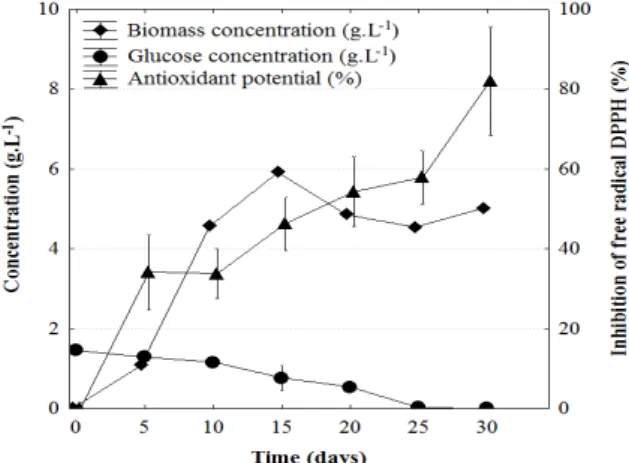 Figure 1 - Kinetics of biomass production, glucose consumption and antioxidant potential of the  fungal extract against the free radical DPPH at a concentration of 3.0 mg.mL -1 , using P