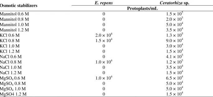 Table 1 - E. repens and Ceratorhiza sp. protoplast production in media with different osmotic stabilizers, after a 5-h  treatment with hydrolytic preparation