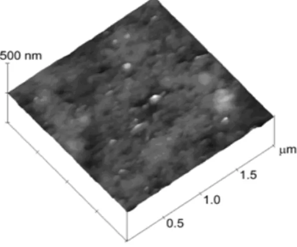Figure  2  -  Atomic  Force  Microscopy  image  of  graphite  electrode  modified  with  poly  (4- (4-aminophenol)/acetylcholinesterase