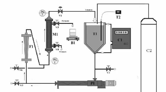 Figure 2 - Schematic pilot plant. 