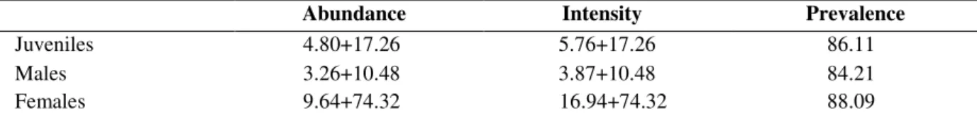 Table  4  -  Mean  abundance,  mean  intensity  and  prevalence  (%)  of  infection  for  juveniles,  males  and  females  of  Macrodon ancylodon
