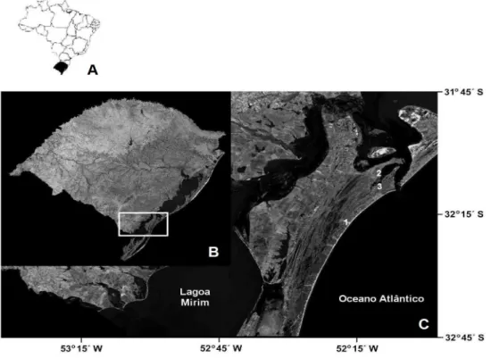 Figure 1 - Location of Rio Grande do Sul State (A), part of southern Coastal Plain (B) and studied  limnic systems (C), being: 1) “Navio Altair” coastal stream, 2) anthropogenic shallow  lakes at Universidade Federal do Rio Grande – FURG, 3) pluvial channe