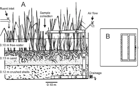 Figure  1  -  (A)  Outline  of  the  VFW-A,  and  (B)  the  upper  view  of  the  rail  of  bored  pipes  of  the  recirculation system laid on the wetland bottom