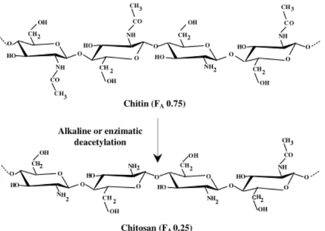 Figure 1 - Structure of chitin and chitosan 
