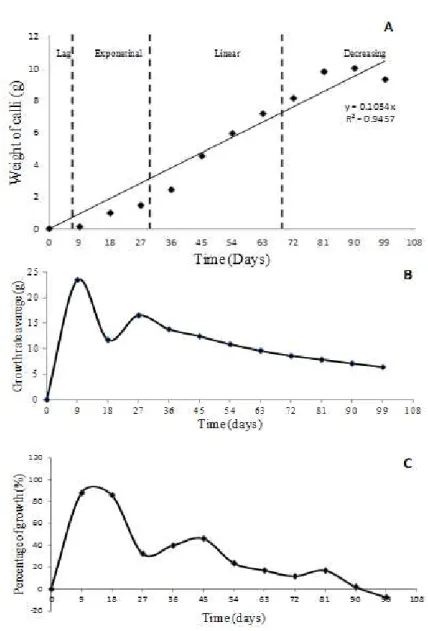 Figure  3  -  Growth  curve  indicating  the  growth  and  development  of  calli  of  Eucalyptus  camaldulensis Dehn