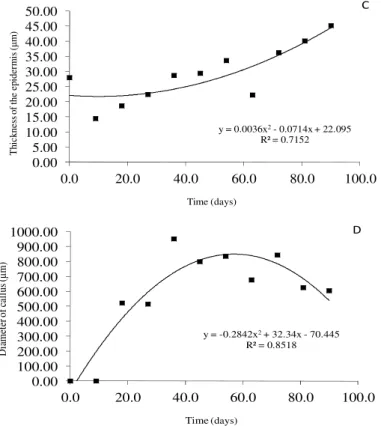 Figure  5  -  Changes  in  anatomical  characteristics  of  the  calli  formed  from  leaf  explants  of  E