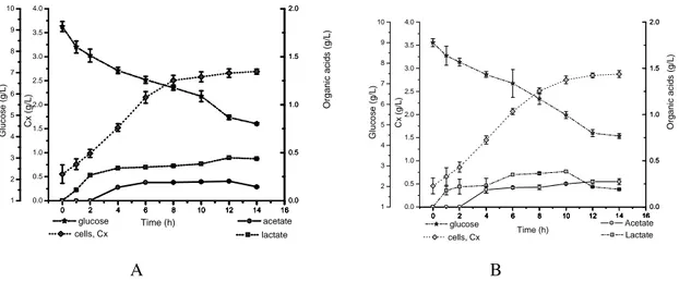 Figure  4  shows  the  amino  acids  consumption  by  the  ATCC  strain  growing  in  media  A  and  B
