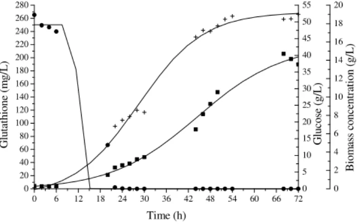 Fig.  2  shows  the  results  obtained  during  the  control  experiment  (without  application  of  MF)