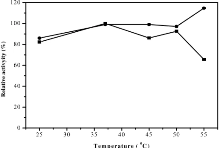 Figure  2  -  Effect  of  temperature  on  the  relative  specific  inulinase  activity  of  A