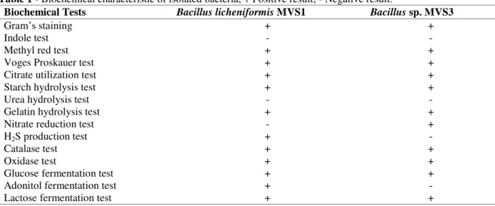 Table 1 - Biochemical characteristic of isolated bacteria, + Positive result; - Negative result