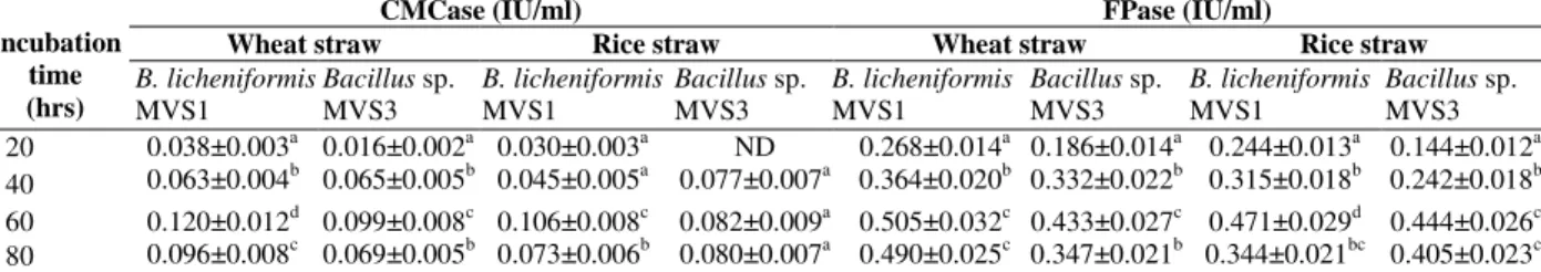 Table  5b  -  Effect  of  incubation  time  on  cellulases  production  by  Bacillus  licheniformis  MVS1  and  Bacillus  sp